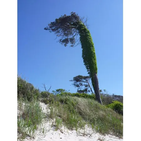 Hafenstrasse 15 Wolkenglanz In Lägenhet Prerow